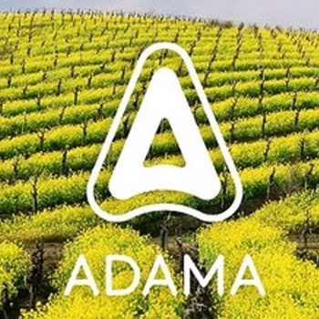ADAMA &Epsilon;&Lambda;&Lambda;&Alpha;&Sigma; &Mu;&Omicron;&Nu;&Omicron;&Pi;&Rho;&Omicron;&Sigma;&Omega;&Pi;&Eta; &Alpha;.&Epsilon;.