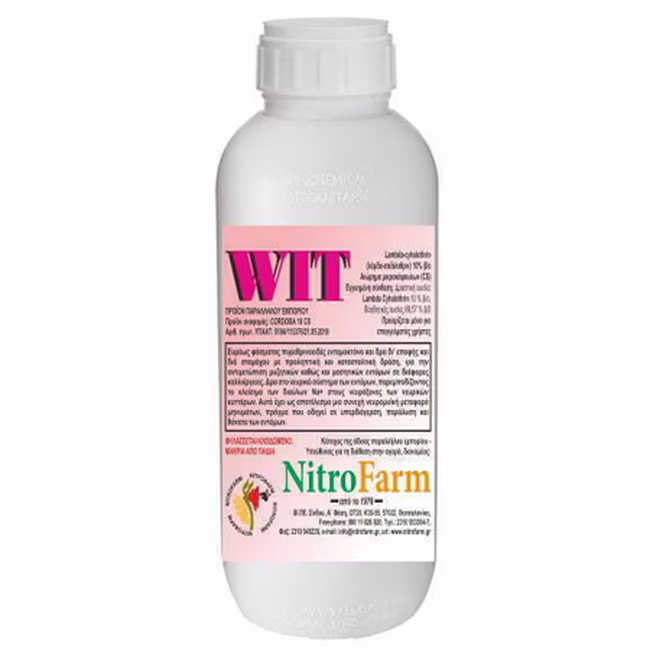 WIT