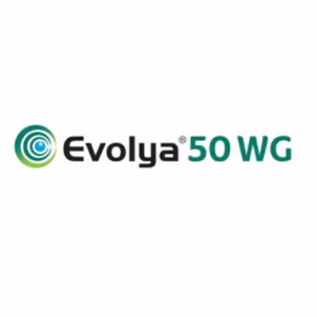 EVOLYA 50 WG