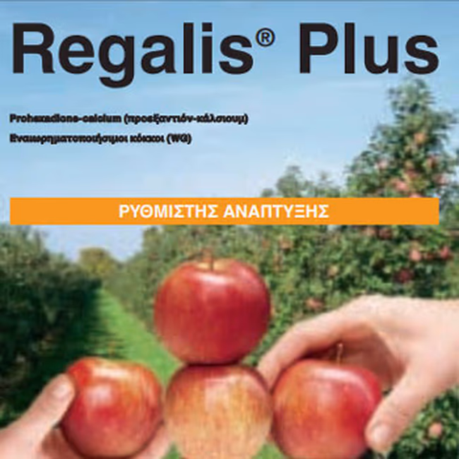 REGALIS PLUS
