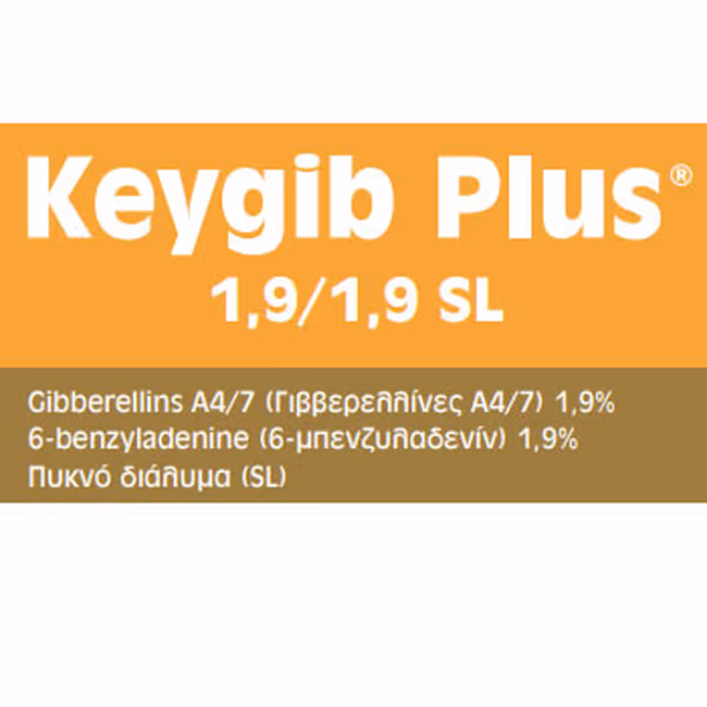 KEYGIB PLUS 1,9/1,9 SL
